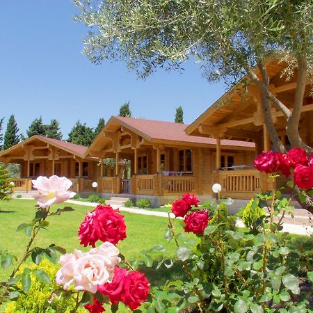 Sandys Studios Apartments And Log Villas Psalidi  Extérieur photo