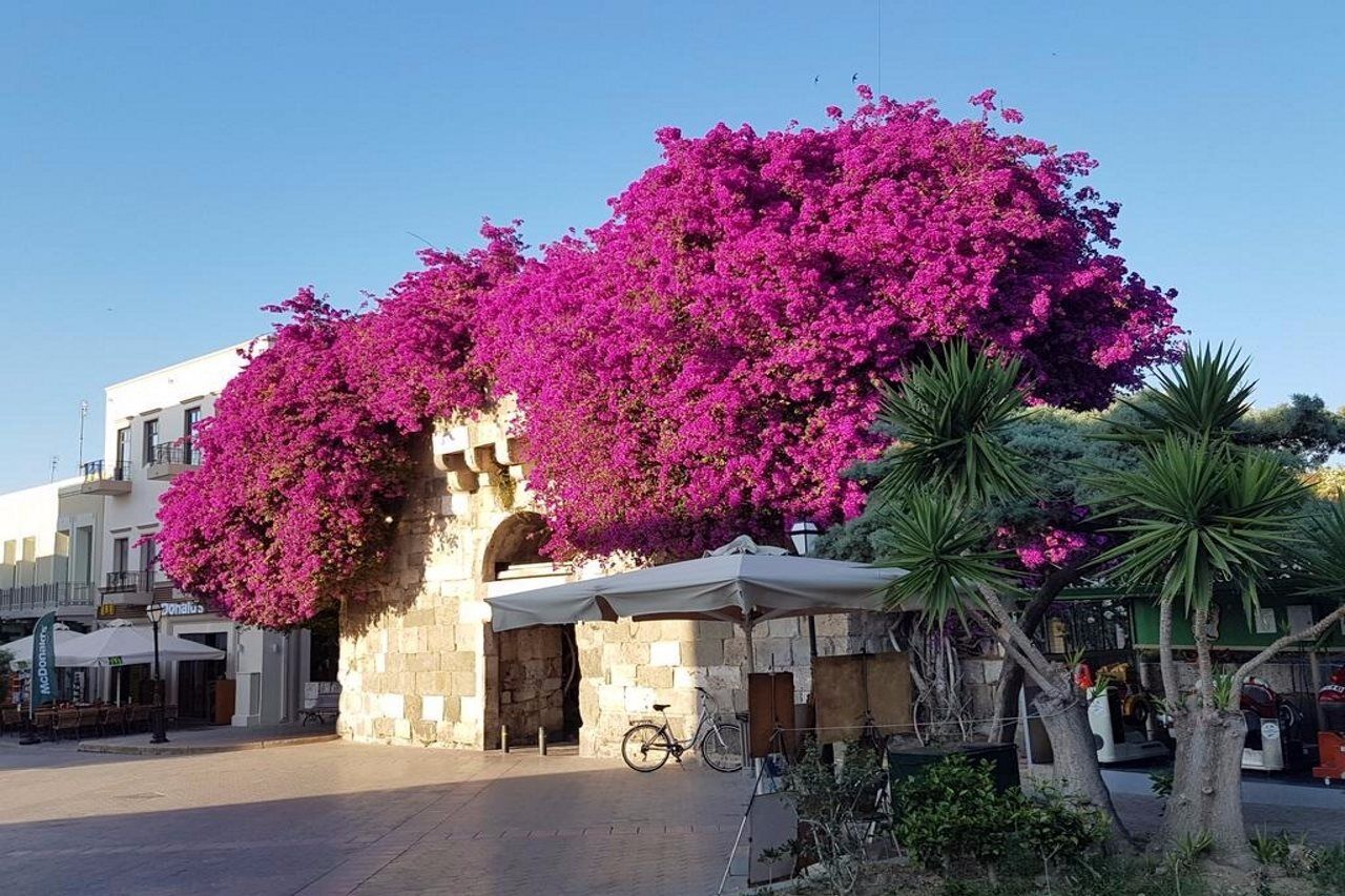 Sandys Studios Apartments And Log Villas Psalidi  Extérieur photo